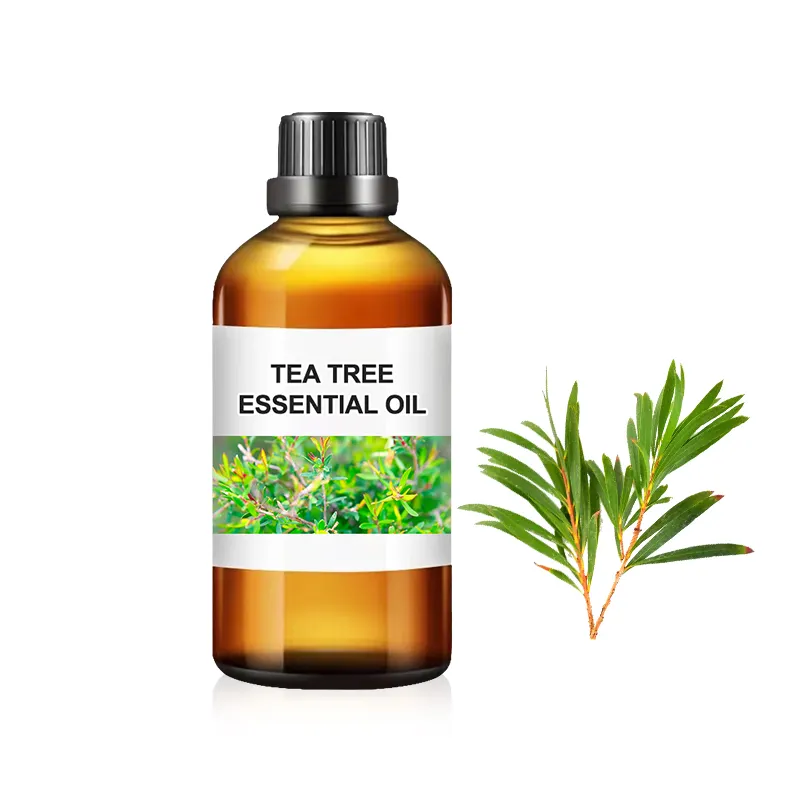 Huile essentielle d'extraction supercritique en gros en vrac huile essentielle d'arbre à thé biologique ajout d'arôme alimentaire naturel