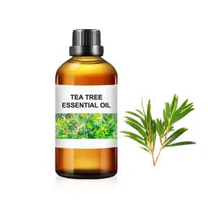 Über kritische Extraktion ätherisches Öl Großhandel Bulk Bio Teebaum ätherisches Öl natürliche Lebensmittel Aroma Zusatz