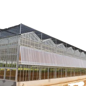 Durable Polycarbonate Greenhouse with Cooling System for Tomato