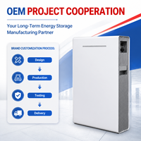Système de stockage d'énergie LiFePO4 étanche 16 kWh 51,2 V 314 Ah en stock UE pour projets solaires EPC et entreprises d'ingénierie photovoltaïque