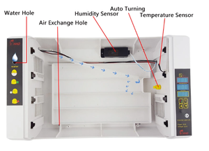 Nhà Máy Giá Cho Poulet, Miếng Rechange, Máy Cấp Tự Động - Product Image 5