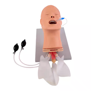 Maniquí de PVC Multifuncional Avanzado ADA J52 de Medio Cuerpo para Entrenamiento en Gestión de Vías Respiratorias en Escuelas de Medicina y Ciencias, Shanghái - Product Image 1