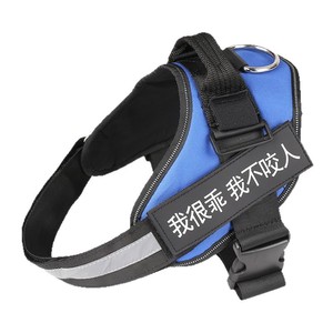 Laisse pour chien, races moyennes à grandes, Golden Retriever, Labrador, laisse de promenade pour chien, harnais, dispositif anti-explosion pour animaux de compagnie. - Product Image 1