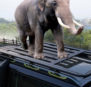 Factory <strong>Prices</strong> <strong>Auto</strong> <strong>Parts</strong> <strong>Auto</strong> System Body Kit <strong>Part</strong> of the for Jetour Traveler T2 Side Bag, Luggage Rack - Product Image 4