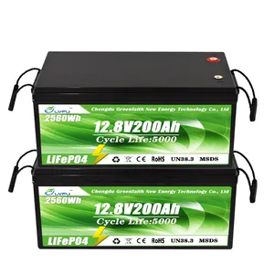 深循环12V Lifepo4电池组Lipo4 12V 50ah 100ah 150ah 200ah锂离子电池电池LFP Akku Bateria