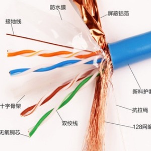 Câble réseau Cat 6, 8 conducteurs, cuivre toronné, blindé SFTP, pour transmission de données haute vitesse - Product Image 3