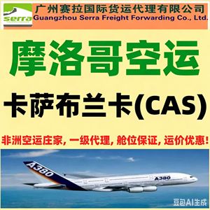Service de Fret Aérien Égypte Alexandrie Suez Agent de Premier Plan depuis la Chine Guangzhou - Product Image 2
