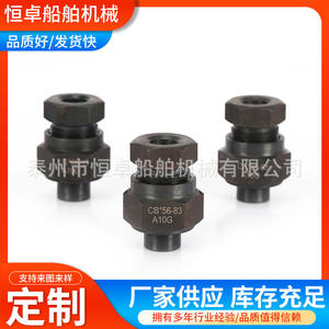 Accesorios Roscados de Acero Inoxidable Hechos a Medida, Rosca G, Alta Presión, Soldadura por Contacto, Hombro Plano, Tubería Soldada para Herrajes Marinos - Product Image 5