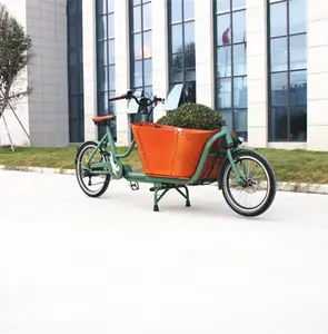 cargo bike Electric Cargo Bicycle e Bike Family Electric Hybrid City Road Bike Cargo ebike