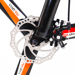 Folding Aluminum Frame Full Suspension Lithium Rear <b>Hub</b> Motor Carrier Disc Ns-ld016 Cheap - Product Image 5