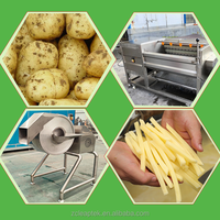 Industriële 100-5000kg/uur volautomatische productielijn voor frites, fabriekslevering, aantrekkelijke prijs, voedselverwerking