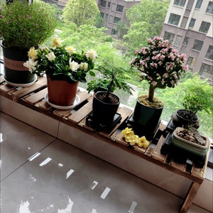 Support de fleurs suspendu élargi en bambou pour rebord de fenêtre de balcon, étagère de rangement anti-corrosion pour comptoir, présentoir de plantes - Product Image 4