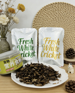 Grillons biologiques de haute qualité, fraîcheur garantie, insectes comestibles riches en protéines, plusieurs tailles disponibles pour les animaux de compagnie - Product Image 3
