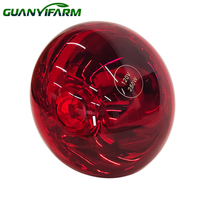 Ampoule chauffante infrarouge étanche E27 100W 150W 250W R125 pour l'élevage de volailles, poulets, porcelets et reptiles