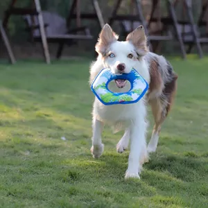 Mainan pelatihan anjing peliharaan Frisbeed lembut cakram terbang mainan interaktif ramah lingkungan anjing