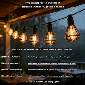 Luci a Stringa LED Personalizzabili Infrangibili IP65 Impermeabili per Esterni, Patio, Giardino e Festività - Product Image 2