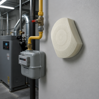 Detector de Gas Combustible Láser LPAS, WiFi Inteligente 4G, Alarma de CH4, Monitoreo Remoto, Alta Precisión, Garantía de 2 Años para Cocina Comercial