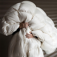 Insert de couette en duvet de canard de qualité supérieure blanc toutes tailles housse en coton Extra épaissie Collection d'hôtel couette en duvet d'hiver lourd