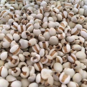 <span class=keywords><strong>Prix</strong></span> de gros Coix Seed Phytothérapie chinoise Coix <span class=keywords><strong>Riz</strong></span> sans gluten de haute qualité Grains pour des recettes saines - Product Image 2