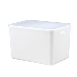 Boîte de rangement en plastique avec couvercle, rectangulaire, couleur unie, grande capacité, organisateur domestique pour sous-vêtements, jouets, bac de rangement JS-SN809 - Product Image 1