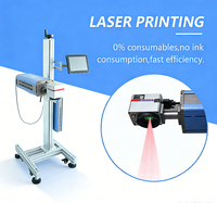 Machine de codage laser CO2 électrique industrielle pour l'industrie des boissons et pharmaceutique/alimentaire, marquage des bouteilles en verre, codes QR, automatique, économie d'énergie