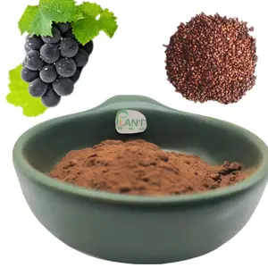 Suplemen makanan kesehatan bubuk ekstrak biji anggur alami murni powder OPC 95%