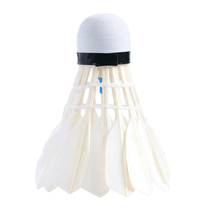 Volants <span class=keywords><strong>de</strong></span> <span class=keywords><strong>badminton</strong></span> lumineux phosphorescents résistants au vent et durables en plastique expansé et plumes <span class=keywords><strong>de</strong></span> nylon pour entraînement intérieur et extérieur - Product Image 1