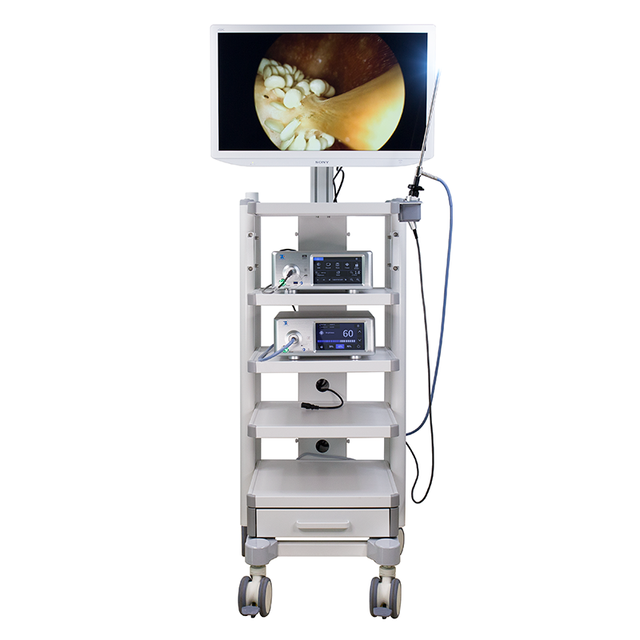 4K Electric Bronchoscopy ENT Endoscope System ENT Endoscopy Flexible Laryngoscope Cystoscopy Nasopharyngoscope Surgical