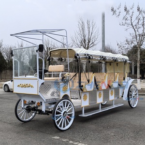 Nouvelle voiture blanche avec sièges blancs, calèche électrique de tourisme, calèche de mariage à vendre, calèche de tourisme - Product Image 5