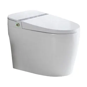 Automatische Sensor Flush Smart Water Closet Elektronische Intelligente Wc Badkamer Sanitair Een Stuk Wc Keramische Moderne