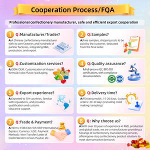 Hersteller für Gummibärchen in Sonderformen, OEM-Lieferant für lustige Gummibärchen, Private Label Großhandel Süßwarenfabrik - Product Image 6