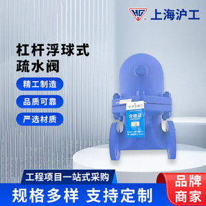 อุปกรณ์ระบายน้ำแบบไฮโดรโฟบิกชนิดหน้าแปลนเหล็กดัดแรงดันสูง HG Shanghai Workers Float Steam Trap - Product Image 5