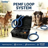 Système PEMF pour chevaux, machine PEMF pour chevaux, équipement vétérinaire PEMF, boucle PEMF pour la performance équine, design portable avec étui rigide