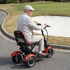 Trottinettes portables auto-équilibrées robustes avec accé<span class=keywords><strong>l</strong></span>ération fluide pour les trajets en banlieue et <span class=keywords><strong>sur</strong></span> les terrains de golf - Product Image 3