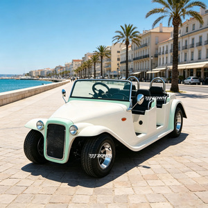 Vehículo Turístico Eléctrico Clásico Vintage de 6 a 8 Plazas para Recorridos en Ciudades, Parques y Resorts - Product Image 1