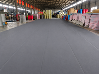 Tapis de sol d'entraînement portable et flexible en PVC vinyle avec logo personnalisé pour arts martiaux, MMA, BJJ, lutte, grappling, dojo