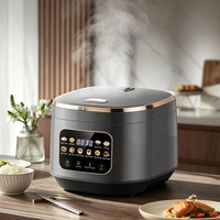Autocuiseur Électrique Intelligent 5L Multifonctionnel avec 10 Modes de Cuisson, Programmation 24h et Fonction Maintien au Chaud