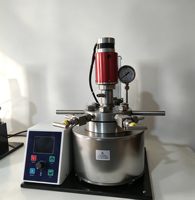 Hervidor de Reacción para Síntesis Hidrotermal y Pirólisis a Escala de Laboratorio con Motor, Capacidad de 100 ml, Potencia de 600 W, Funcionamiento Automático