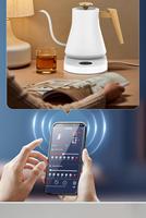 Garder le temps chaud préréglé Mini col de cygne Smart bouilloire électrique thé café 1700ml Wifi Tuya Alexa contrôleur de température vocale