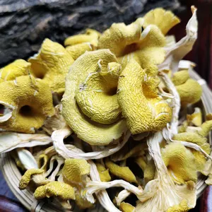 20 g/borsa pleurotus essiccato ai funghi pleurotus citrinopileatus citrinopleatus di alta qualità