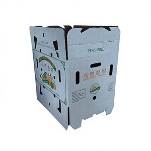 Boîte en carton ondulé 3 plis entièrement imprégnée de cire, personnalisée et imprimée - Boîte de rangement écologique pour céréales, chaîne du froid, aliments frais - Product Image 4