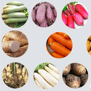 Größe einstellbare Maniok-Wasch- und -Schälmaschine Wurzel-, Gemüse-, Obst-Schälmaschine - Product Image 2