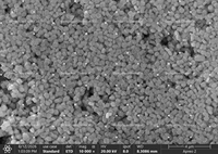 Bubuk Zeolit ZSM-5 Silika Tinggi ZSM-5-500 Kristal 500nm SAR Lebih dari 1000 Rendah Na2O Katalis Petrokimia Adsorben VOC