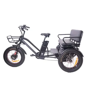 Meilleur populaire 750W 20AH 7 vitesses pleine suspension fat etrike électrique cargo tricycle eu vélo électrique 3 roues
