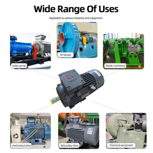 มอเตอร์อินโนโมติกส์ Beide1MT0013 แบบ 4 โพล 0.55KW~315KW IMB3 ป้องกันฝุ่นและป้องกันการระเบิด มอเตอร์อะซิงโครนัสสามเฟส IP65 IC411 1500 รอบต่อนาที - Product Image 4