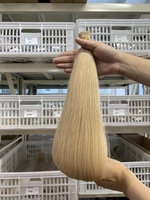 Ekstensi Rambut Manusia I Tip Keratin Pre-Bonded Virgin Eropa 100% Asli, Kutikula Tersusun Rapi, Harga Pabrik AVIVA
