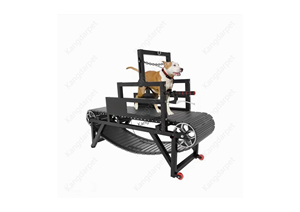 कुत्तों के लिए नए डिजाइन कुत्ते प्रशिक्षण उपकरण ट्रेडमिल के पुनर्वास फोल्डेबल कुत्ते के लिए भारी शुल्क गैर-पर्ची - Product Image 3