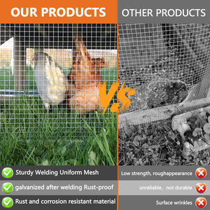 Kain perangkat keras celup panas galvanis setelah pengelasan pagar kawat gulungan jala 1/2 "X 24" X 50 'X 19GA - Product Image 5