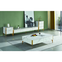 Ensemble table basse et meuble TV moderne de style européen, plateau en ardoise/marbre, structure en acier inoxydable blanc/gris foncé pour salon, mobilier de maison