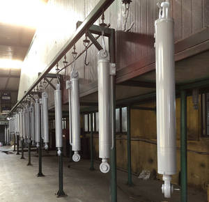 מוט בוכנה כפול צילינדר הידראולי עבור מלגזה ושימוש טרוס - Product Image 6